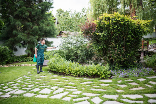 Best Ant Control Services  in King Of Prussia, PA