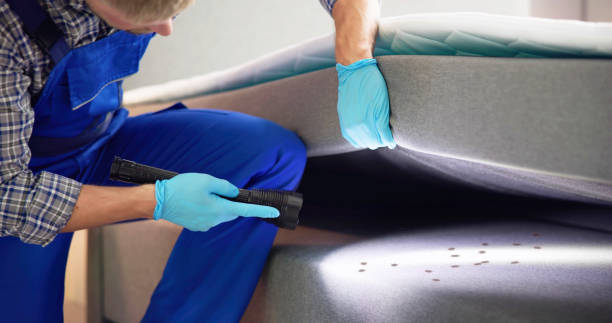 Best Pest Removal Services  in King Of Prussia, PA