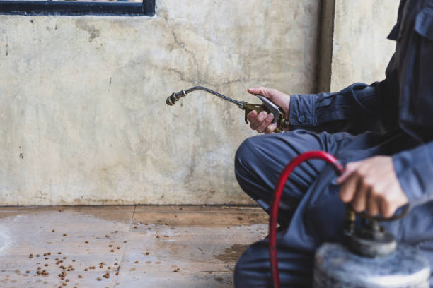 Best Best Pest Control Companies  in King Of Prussia, PA