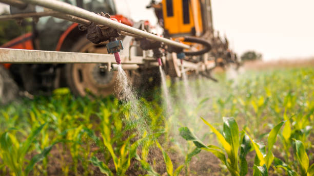 Best Commercial Pest Control Services  in King Of Prussia, PA